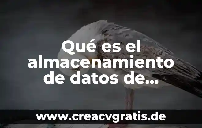 Almacenamiento de alimentos que es 6 Qué es el almacenamiento de datos de seguridad