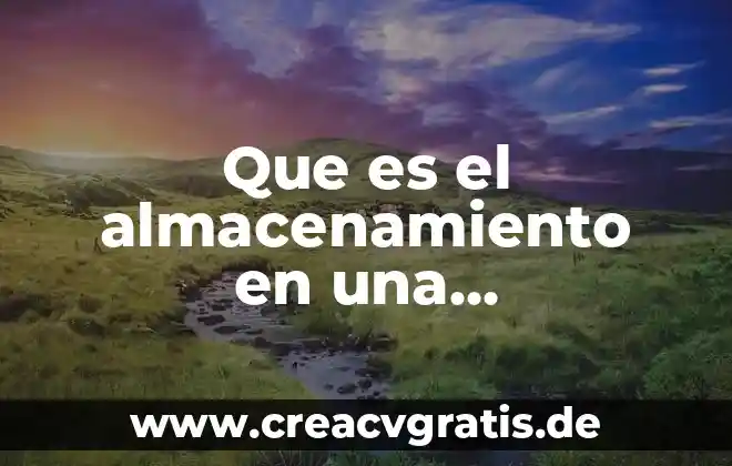 Almacenamiento de alimentos que es 4 Que es el almacenamiento en una computadora