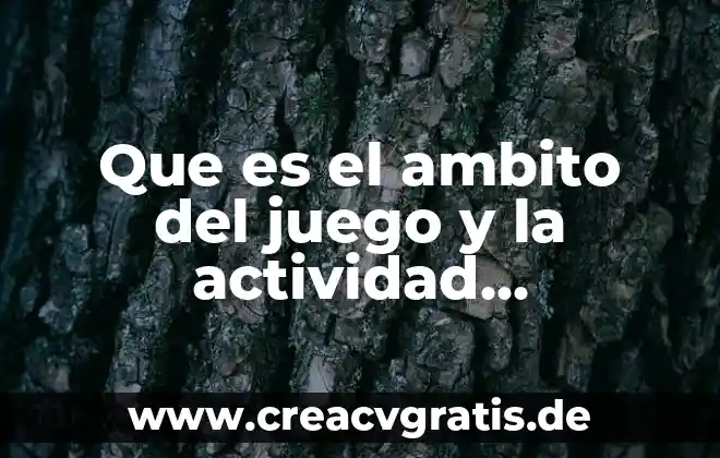 Que es el juego tochito bandera 5 Que es el ambito del juego y la actividad ludomotriz