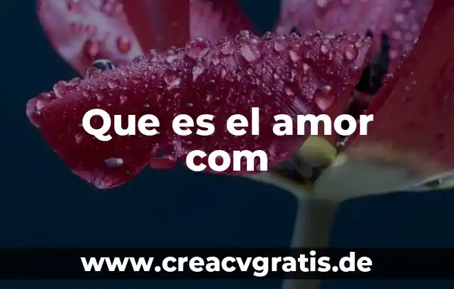 Conclusión de lo que es el amor 8 Que es el amor com