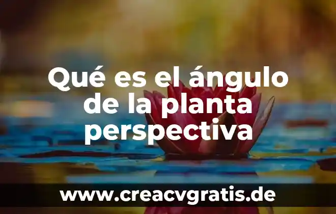 Que es la operacion de la planta 4 Qué es el ángulo de la planta perspectiva