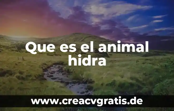 Que es cfdi de pago 7 Que es el animal hidra