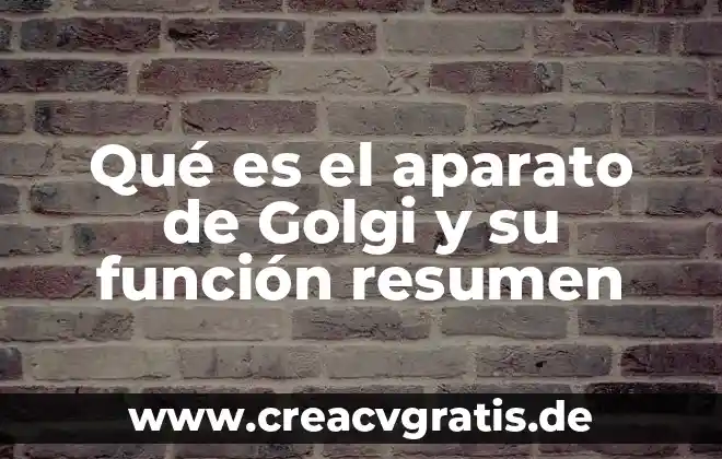 Significado de que es sistema 8 Qué es el aparato de Golgi y su función resumen