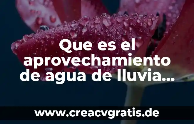 Que es indice de aprovechamiento escolar 8 Que es el aprovechamiento de agua de lluvia definicion