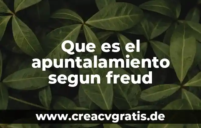 Freud teoría psicosexual qué es 7 Que es el apuntalamiento segun freud