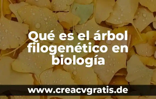 Diagrama de árbol y principio multiplicativo que es 7 Qué es el árbol filogenético en biología