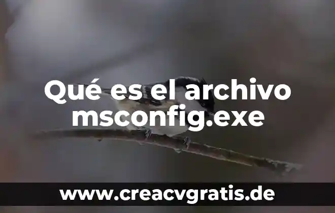 Que es com.dianxinos.optimizer.duplay 7 Qué es el archivo msconfig.exe