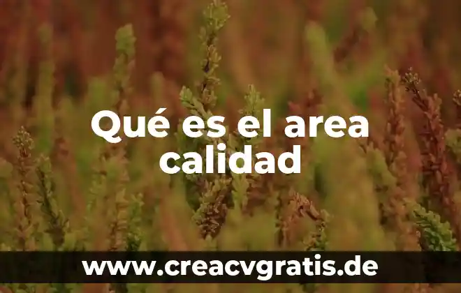 Enlace punto a punto que es 4 Qué es el area calidad