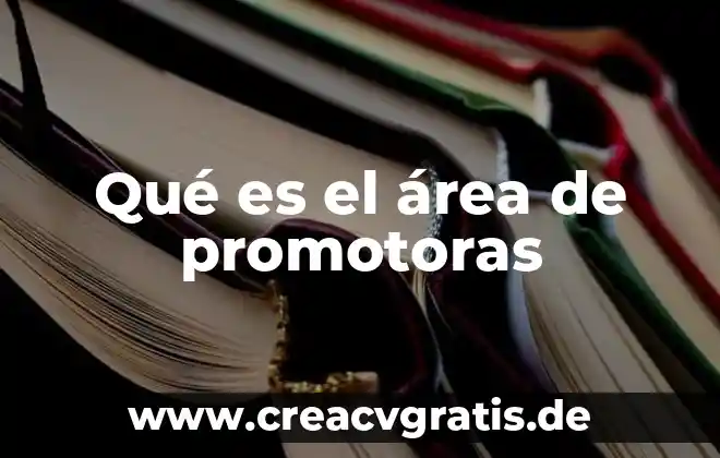 Que es un cuaderno de viaje y sus caracteristicas 5 Qué es el área de promotoras