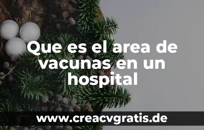 Que es el agua del hospital 5 Que es el area de vacunas en un hospital