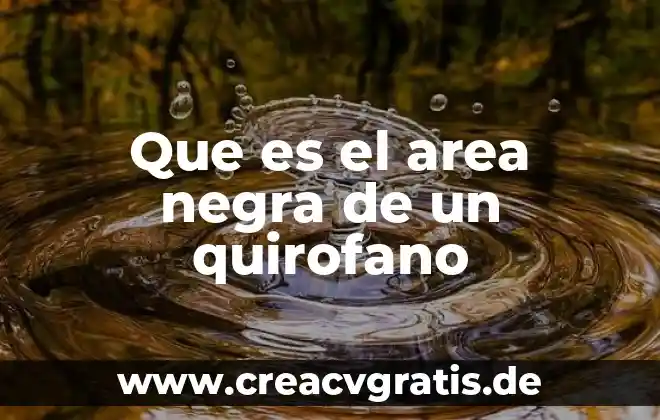 Que es el area de proyectos en una empresa 5 Que es el area negra de un quirofano