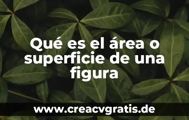 Que es la figura figura diseño 3 Qué es el área o superficie de una figura