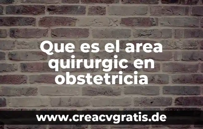 Que es el area de proyectos en una empresa 7 Que es el area quirurgic en obstetricia
