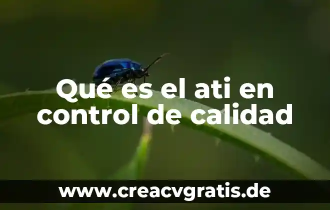 Que es calidad subjetiva del sueño 5 Qué es el ati en control de calidad