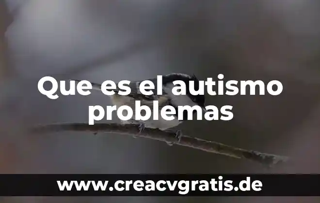 Qué es problemas de cero racionales 3 Que es el autismo problemas