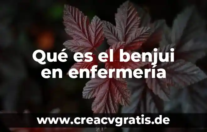 Qué es la enfermería con especialidad concepto 7 Qué es el benjui en enfermería