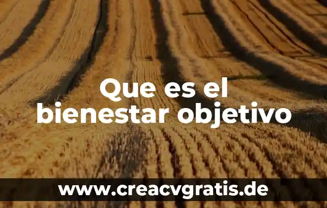 Línea del bienestar mínimo que es 3 Que es el bienestar objetivo