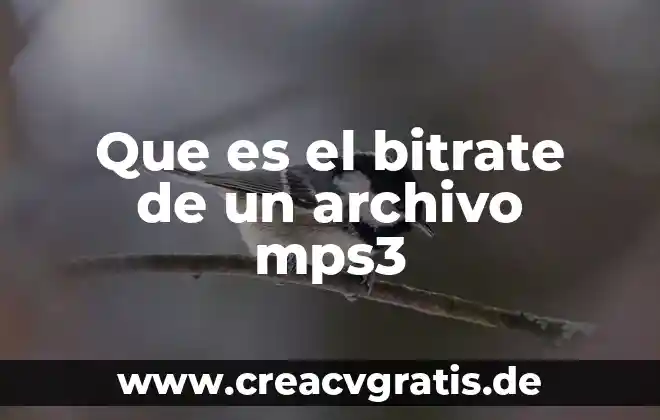 Que es un archivo oculto 7 Que es el bitrate de un archivo mps3