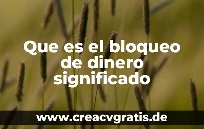 Qué es un jostrer significado 8 Que es el bloqueo de dinero significado