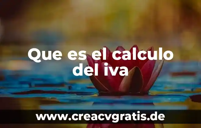 Que es una relacio calculo 3 Que es el calculo del iva