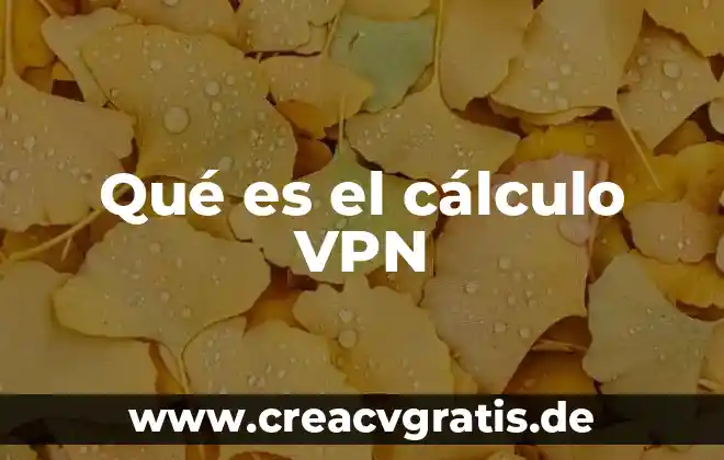 Que es una red vpn 4 Qué es el cálculo VPN