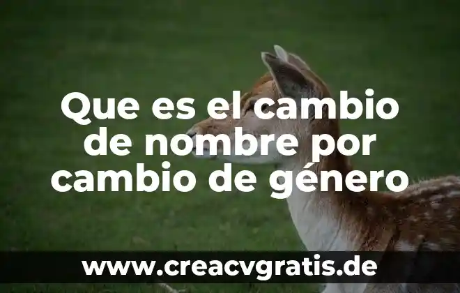 Que es una matriz de cambio en teledeteccion 5 Que es el cambio de nombre por cambio de g茅nero