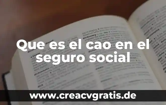 Que es mas seguro chamarra o armadura 4 Que es el cao en el seguro social