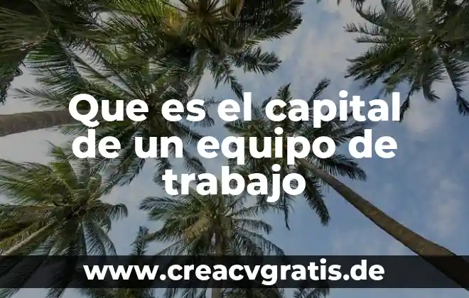 Que es una competencia de capital humano 8 Que es el capital de un equipo de trabajo