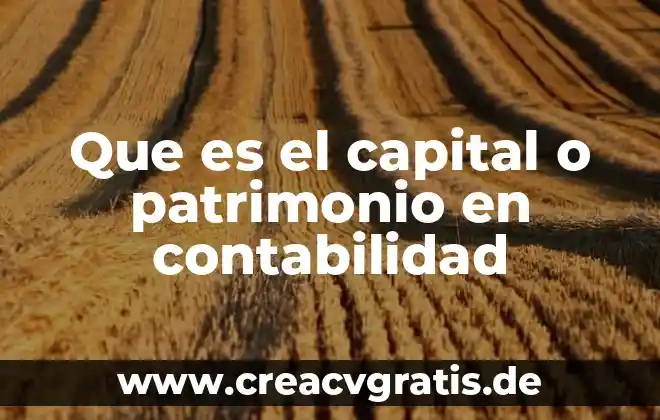 Obturación que es sistemas de visión 6 Que es el capital o patrimonio en contabilidad