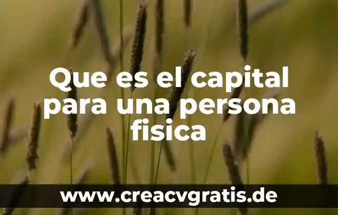 Que es una competencia de capital humano 6 Que es el capital para una persona fisica