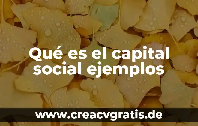 Que es la gestion social y los tipos 3 Qué es el capital social ejemplos