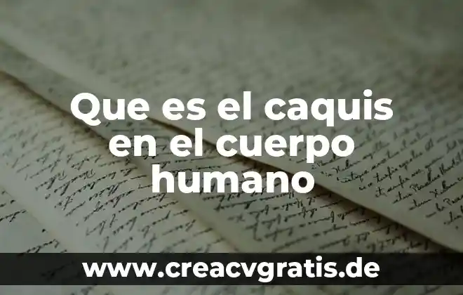 Que es el cuerpo de mensaje 3 Que es el caquis en el cuerpo humano