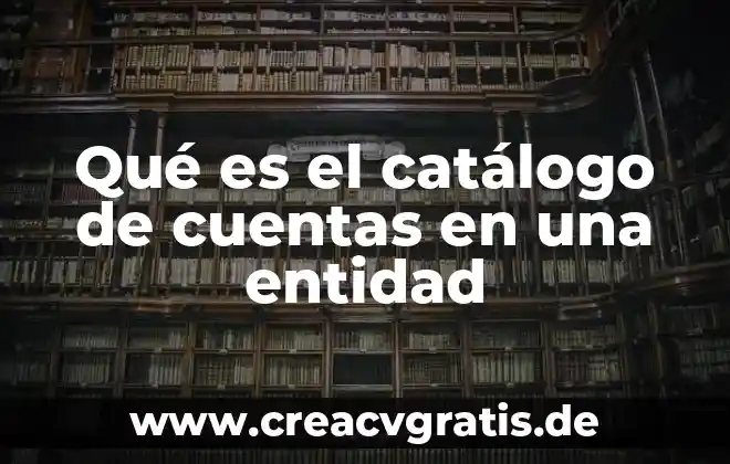 Qué es un activo y pasivo y sus cuentas 4 Qué es el catálogo de cuentas en una entidad