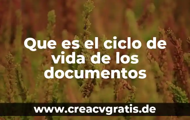 Examen ambiental en salud que es 5 Que es el ciclo de vida de los documentos