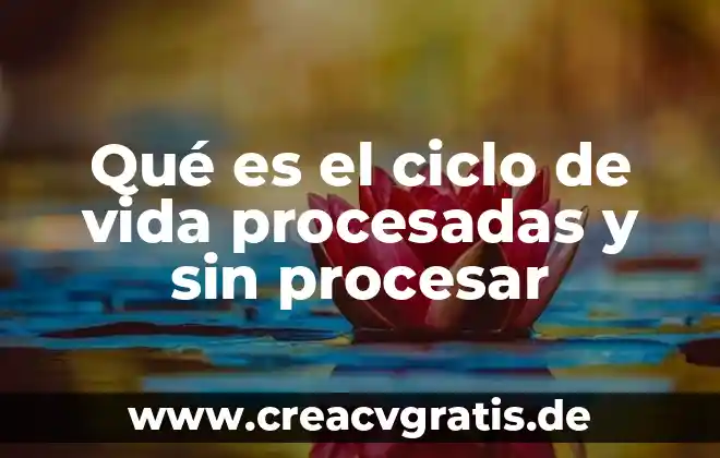 Metas y sueños en la vida que es 5 Qué es el ciclo de vida procesadas y sin procesar