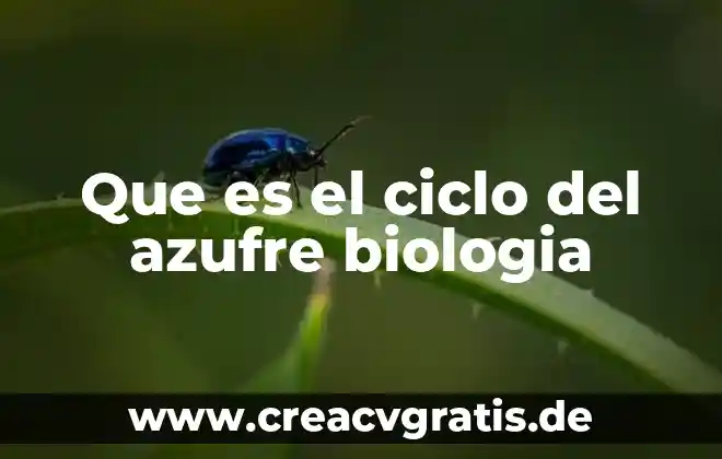 Que es el desarrollo de ciclo vital 8 Que es el ciclo del azufre biologia