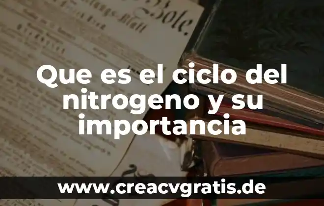 Que es el nitrogeno en la tabla periodica 4 Que es el ciclo del nitrogeno y su importancia