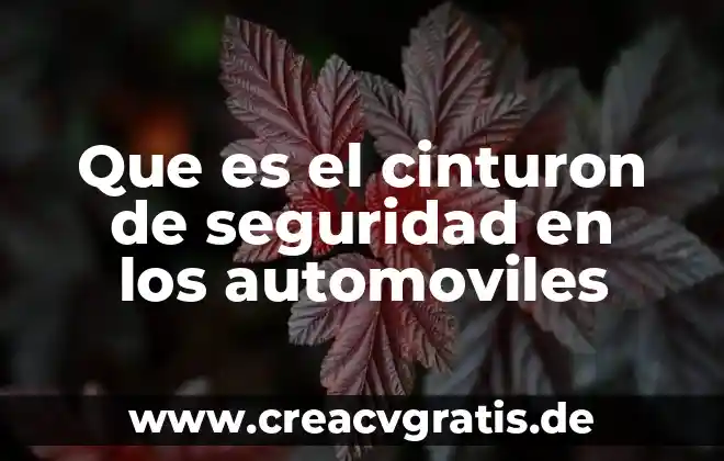 Que es el sol es el cinturon de asteroides 5 Que es el cinturon de seguridad en los automoviles