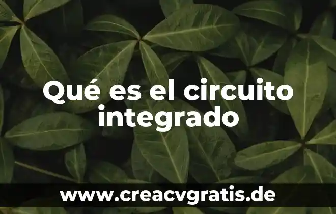Internet integrado que es 3 Qué es el circuito integrado