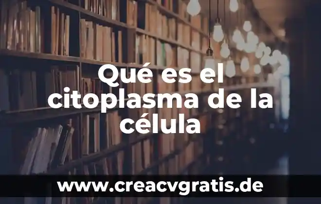 Qué es la lisosoma de la célula animal 6 Qué es el citoplasma de la célula