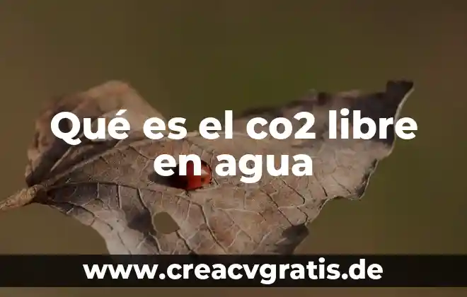 Que es un cuerpo de agua y que caracterististica tienen 8 Qué es el co2 libre en agua