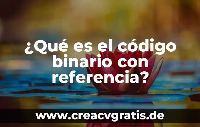 Qué es donación código civil federal ejemplo 3 ¿Qué es el código binario con referencia?