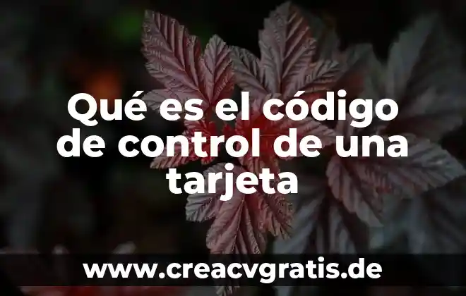 Que es el código germánico 3 Qué es el código de control de una tarjeta