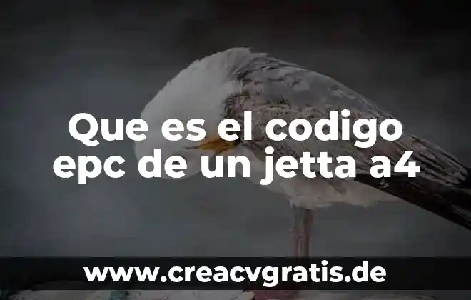 Qué es un código de ética con clientes definición 4 Que es el codigo epc de un jetta a4