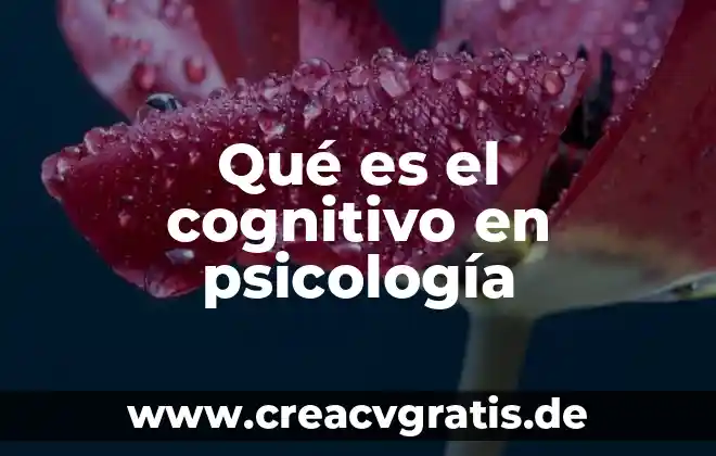 Qué es aliño en psicología 8 Qué es el cognitivo en psicología