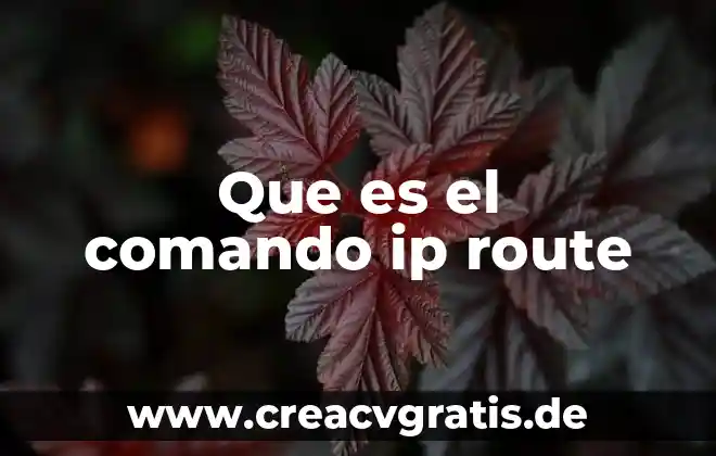 Que es el comando ir 3 Que es el comando ip route