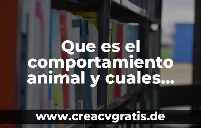Que es el arte y cuales son sus tipos 6 Que es el comportamiento animal y cuales son sus tipos