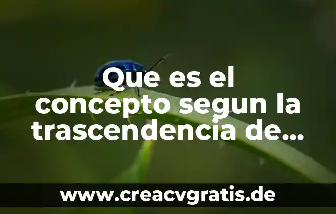 Qué es la verdad según Franz Brentano 6 Que es el concepto segun la trascendencia de un restaurante