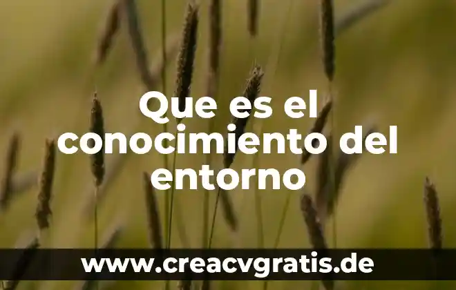 Que es una relevancia del proyecto 6 Que es el conocimiento del entorno