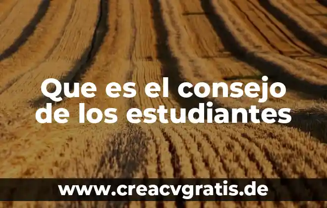 Que es el conformismo en los estudiantes 3 Que es el consejo de los estudiantes